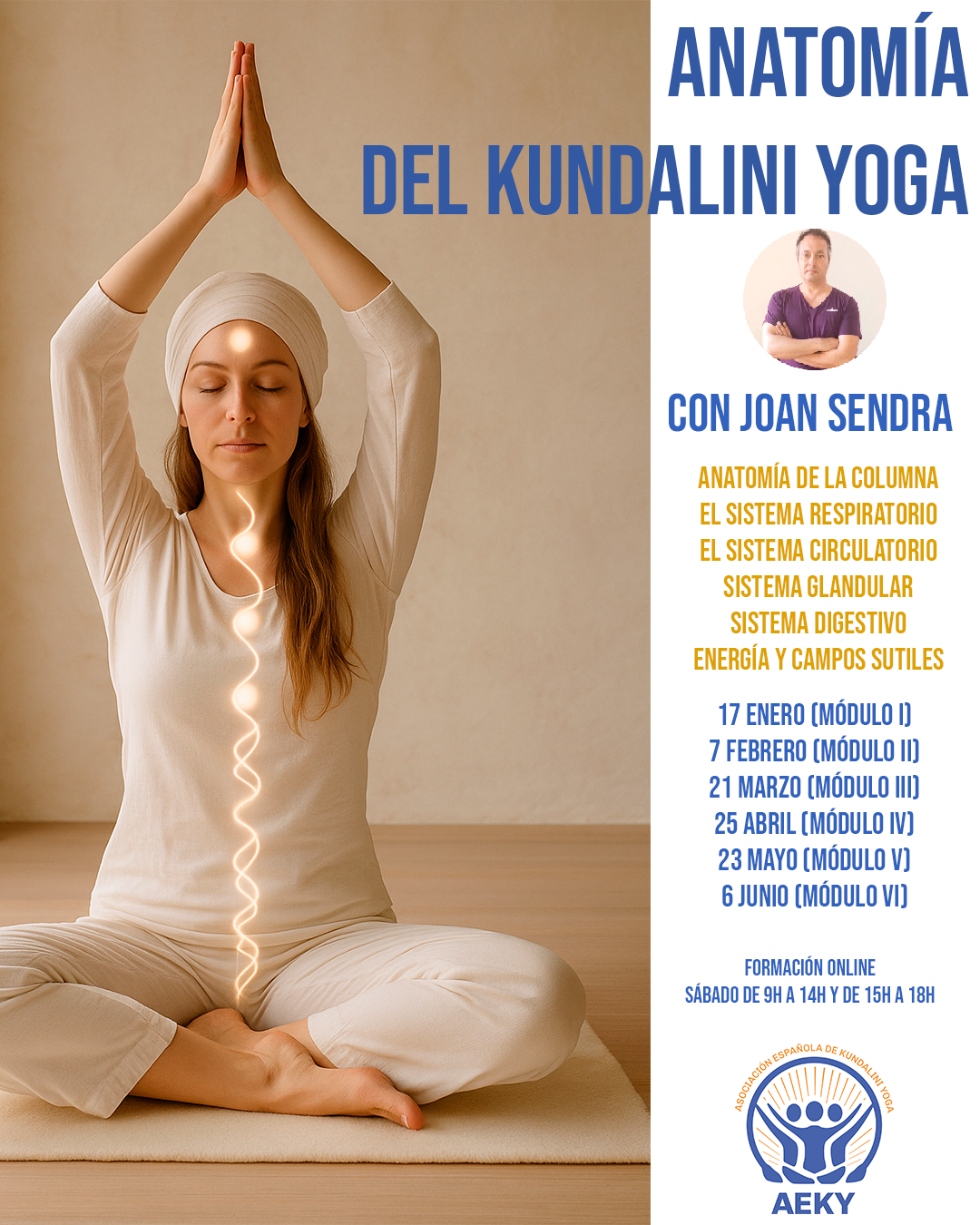 Formación de Anatomía del Yoga y Terapéutico: Módulo 2